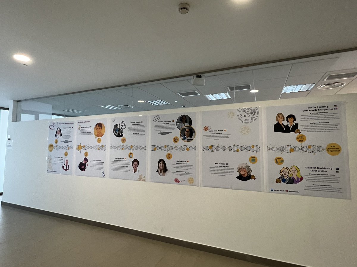 ETSIAMB ALBACETE tweet media