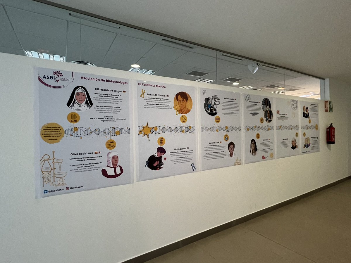 ETSIAMB ALBACETE tweet media