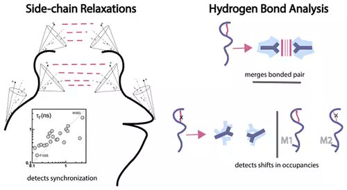 JCIM_JCTC's tweet photo. #DHFR Mutants Modulate Their Synchronized Dynamics with the Substrate by Shifting Hydrogen Bond Occupancies #MolecularDynamics
https://t.co/39WGWH97uF
@cananatlgn
Vol62 Issue24 #JCIM #compchem https://t.co/ICRAUsiNcZ