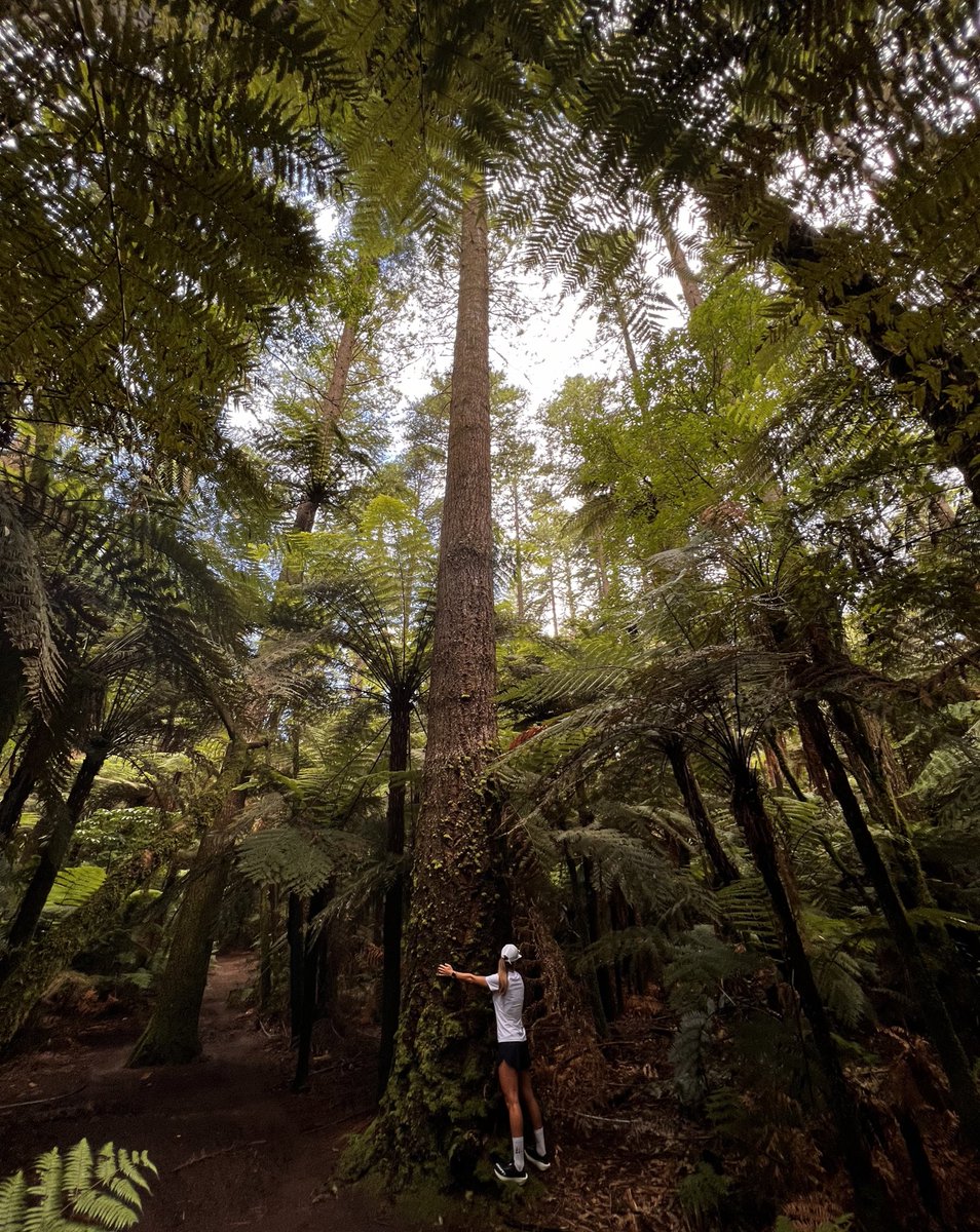 Aroa Sio Recknold 🦸♀️ (@sioaroa) on Twitter photo Ya está aquí mi primer gran objetivo del año <a href="/taraweraultra/">Tarawera Ultramarathon</a>, una de mis dream race ever 😍
En este juego no hay pócimas mágicas.Ha tocado apretar mucho y afinar todo lo posible para llegar en la mejor forma posible. LFG 🔥!
Podéis seguir mi carrera ⬇️
live.utmb.world/tarawera/2023 Ya está aquí mi primer gran objetivo del año <a href="/taraweraultra/">Tarawera Ultramarathon</a>, una de mis dream race ever 😍
En este juego no hay pócimas mágicas.Ha tocado apretar mucho y afinar todo lo posible para llegar en la mejor forma posible. LFG 🔥!
Podéis seguir mi carrera ⬇️
live.utmb.world/tarawera/2023