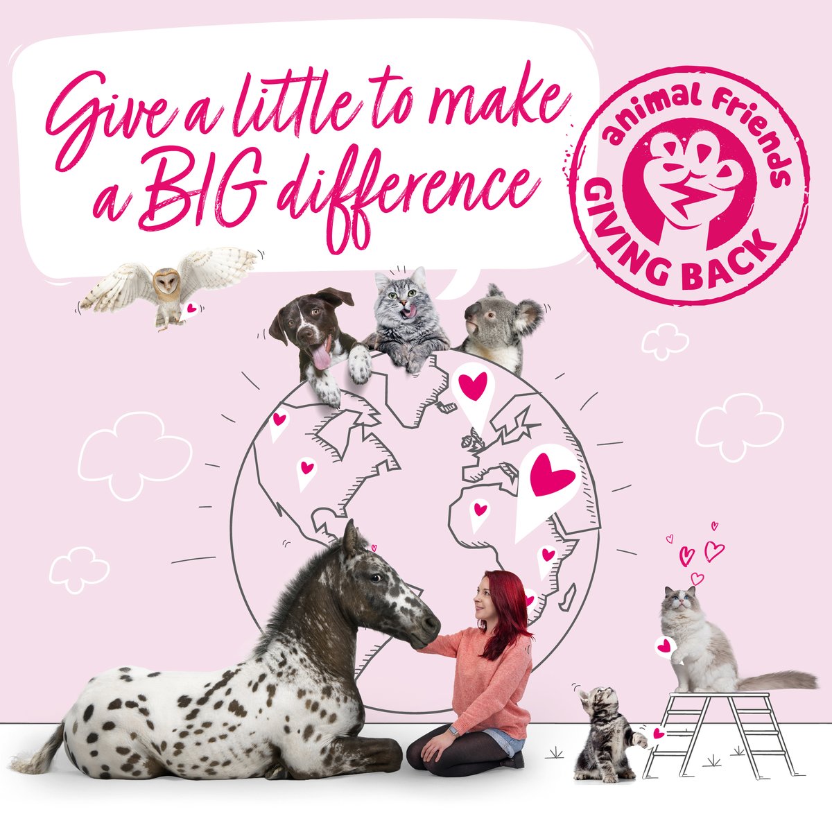 Animal Friends (@AFPetInsurance) / Twitter Animal Friends (@AFPetInsurance) / Twitter