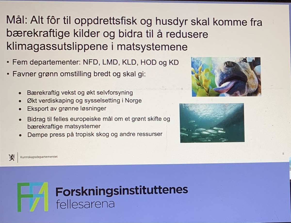 TorillMoseng's tweet photo. Bærekraftig fôr for sjømatnæringen og landdyr #samarbeidskonferansen #ffa #uhr #veterinærinstituttet #forskning #bærekraftigfôr #bærekraft #dyrevelferd #dyrehelse #matsikkerhet #samfunnsoppdrag #mattrygghet #beredskap #fellesfaglig #tverrfaglig #tillit https://t.co/VvCs9Jt8DB