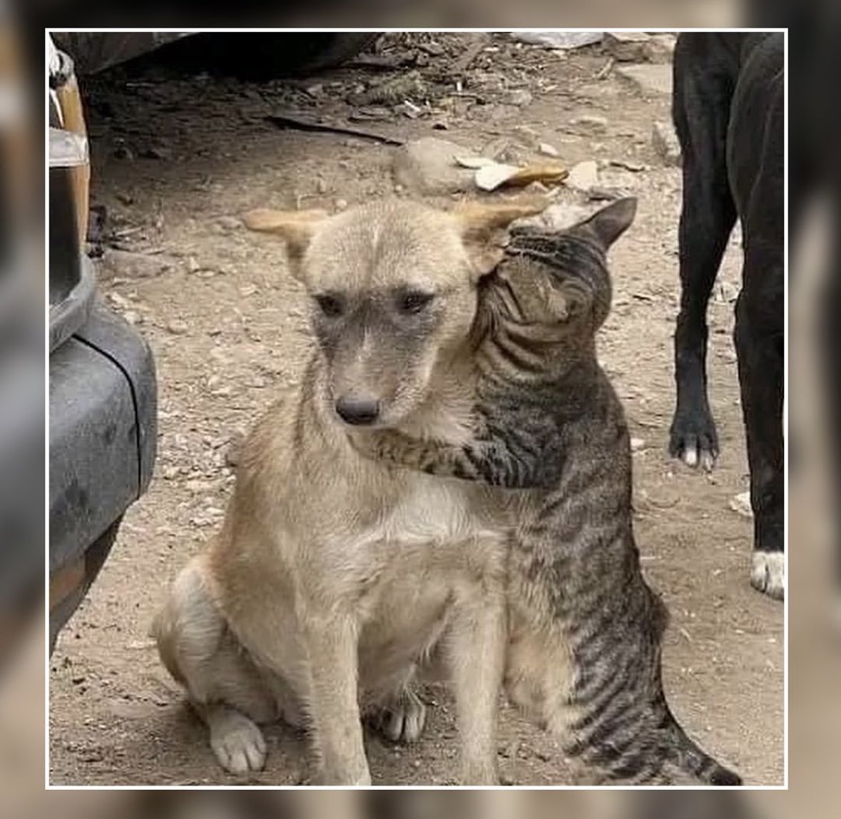 Dayanışma yaşatır.