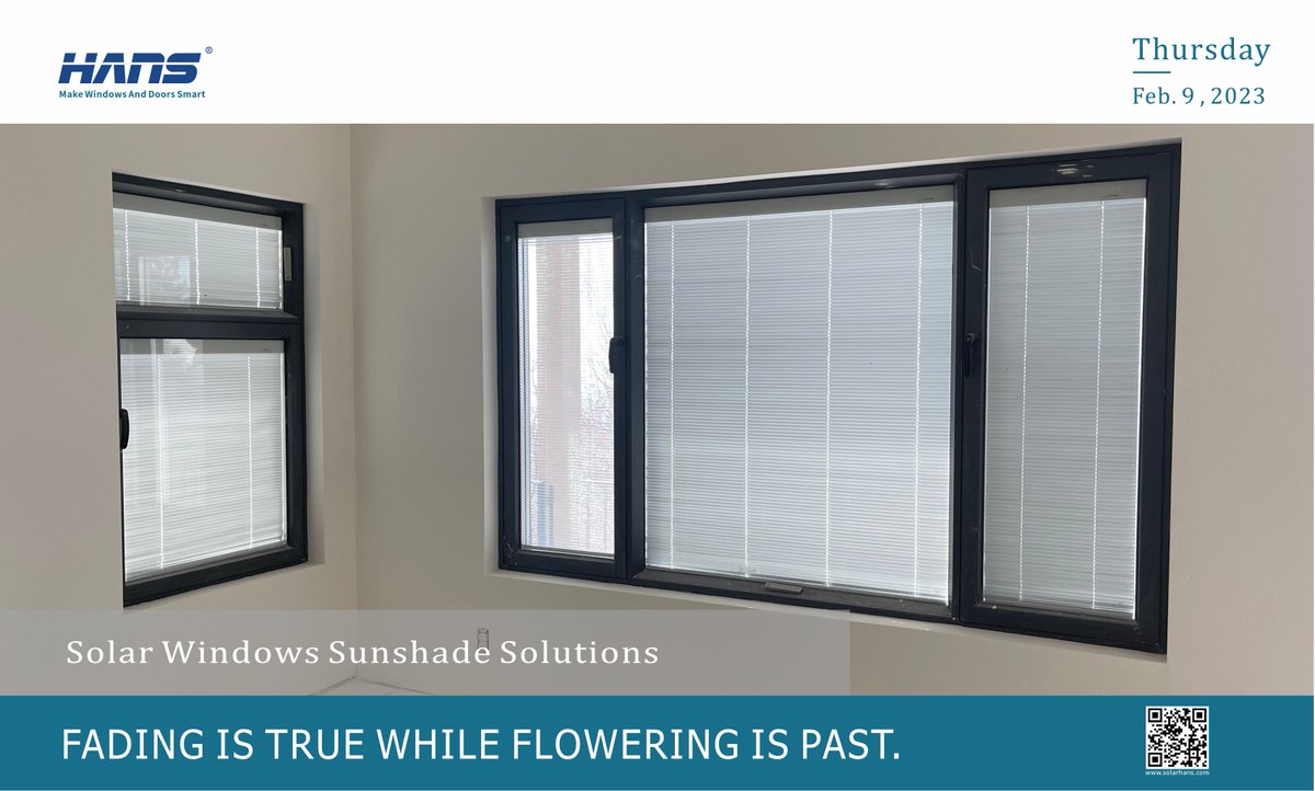 HansBBG's tweet photo. HANS's Blinds display of detached single-family house in Salt Lake City, Utah, USA
#HANS #solarsystem #solarpower #solarenergy #builtinblinds #blindsbetweenglass #glass #insulatedglass #homedecor #decor #shades #doors #windows #blinds #windowsanddoors #rollershade #romanshades https://t.co/vc76q499pC