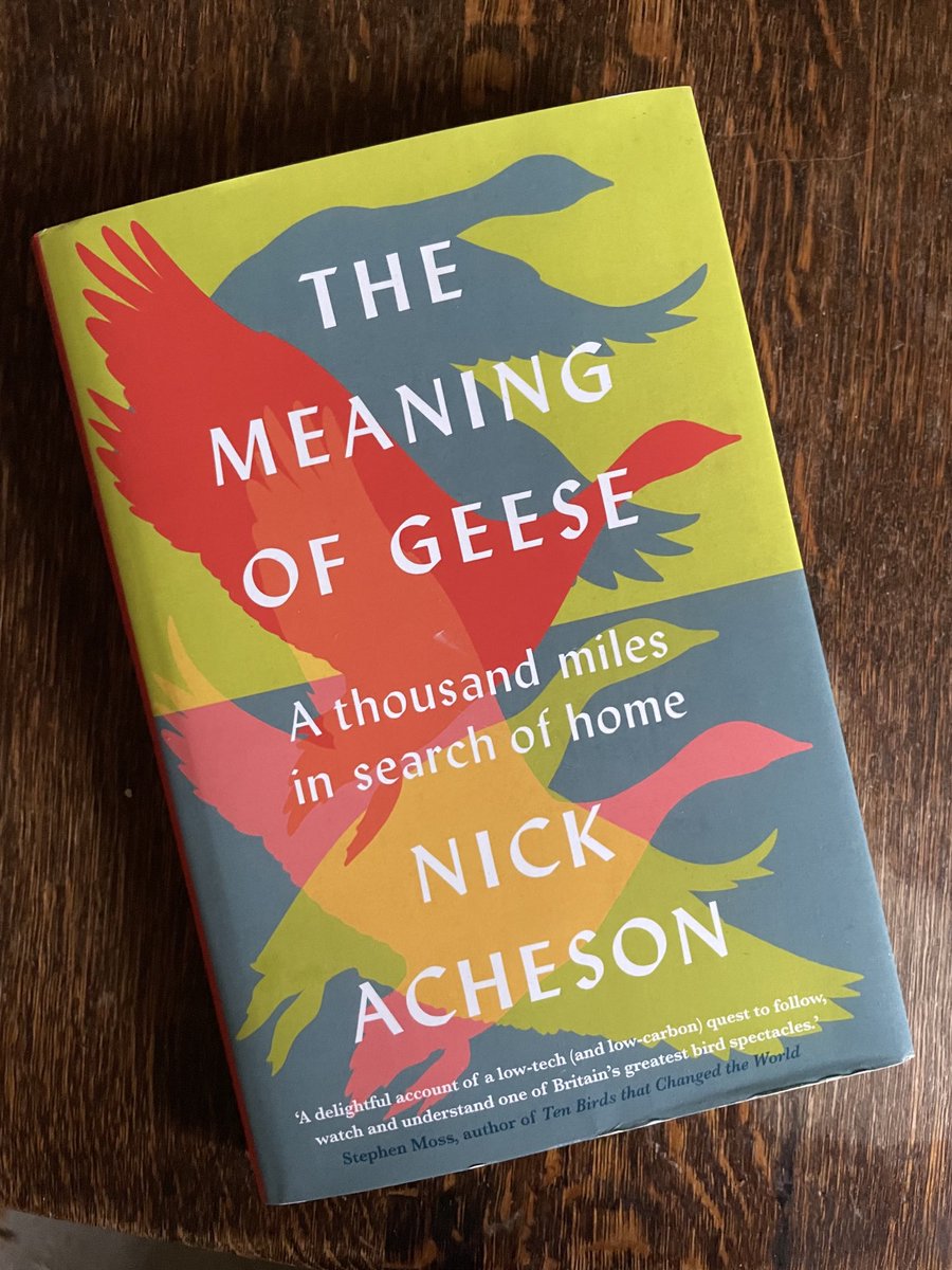 Brigit Strawbridge tweet media