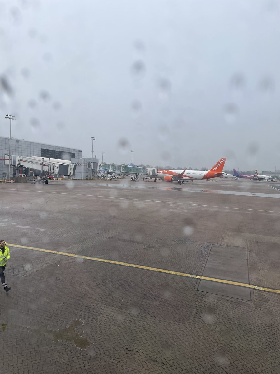 BecketKeysTrips tweet media