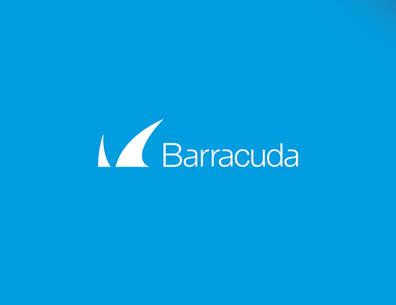 Barracuda offers layered, granular recovery, involving advanced tech to make both file & image-level recovery possible from a single data backup operation. 

Call our team today about Barracuda
📱: 0330 102 7444

#itsupportuk #itsupport #barracuda #databackup