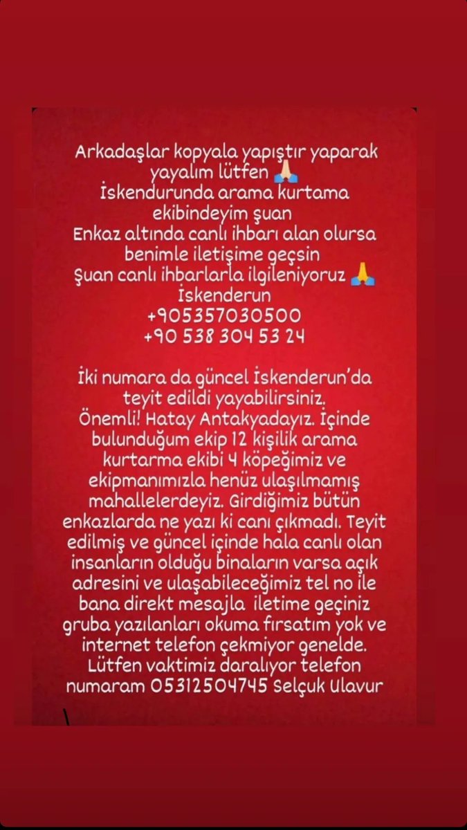 Çağınojen (@bykusskedi) on Twitter photo 