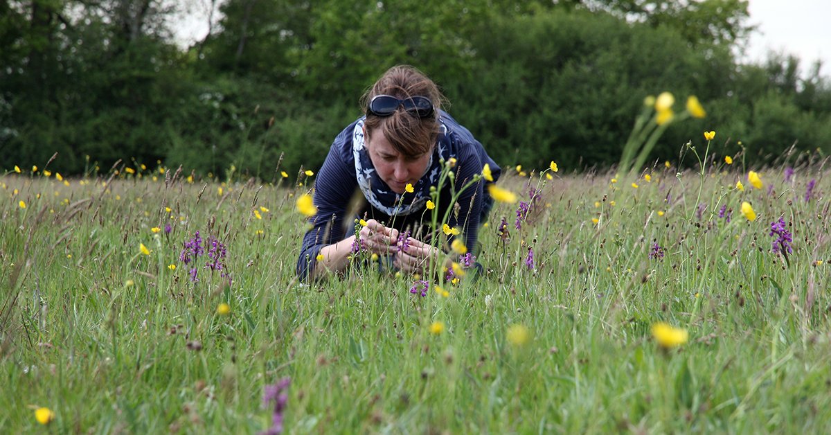 UK_CEH's tweet photo. Wildlife recording is good for you, as well as for science! 🐞🪰🐝🦋🌳 

Our new study has found that taking part in nature-based #CitizenScience projects boosts the wellbeing of participants and their connection to #nature. 

https://t.co/rWSxDmXAzU 1/ https://t.co/vEaeIuQMk8
