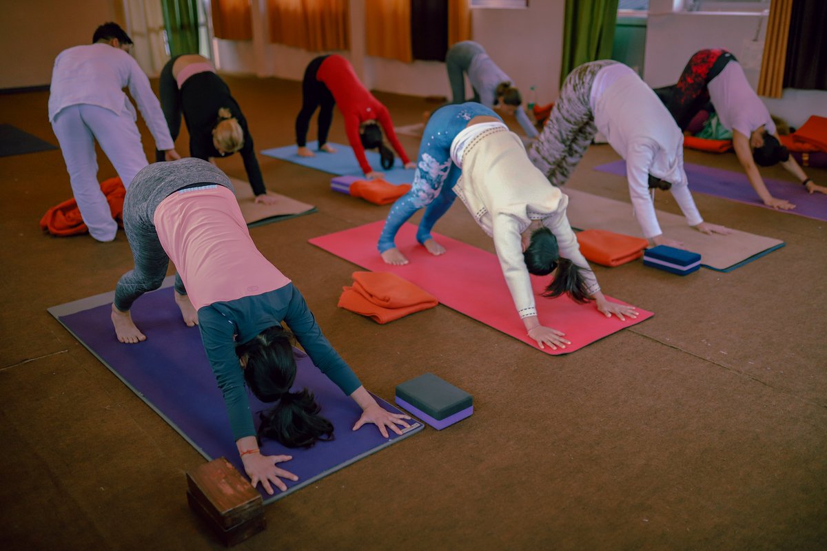 AatmYogashala's tweet photo. Enhance your skills, expand your knowledge and advance your teaching abilities. Join our in-depth Yoga Teacher Training Course in #Rishikesh #India
#yogainrishikesh #yogattc #yogainindia #yogattcinindia #yogacourses #yogastudy #yogaknowledge #hathayoga #ashtangayoga https://t.co/AD6ZZdExbe
