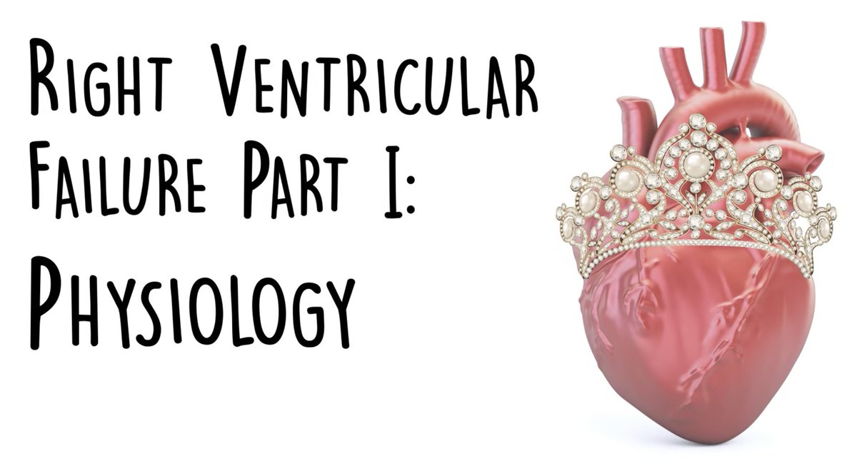 mr_astvad's tweet photo. For those online who missed out on @saracrager's amazing talk on RV failure, seek out her magnificent made-for-online videos on RV physiology and clinical management at her newly launched site

https://t.co/eMkL32vODW

#FOAMed at its best https://t.co/xNNgkeH5Kh