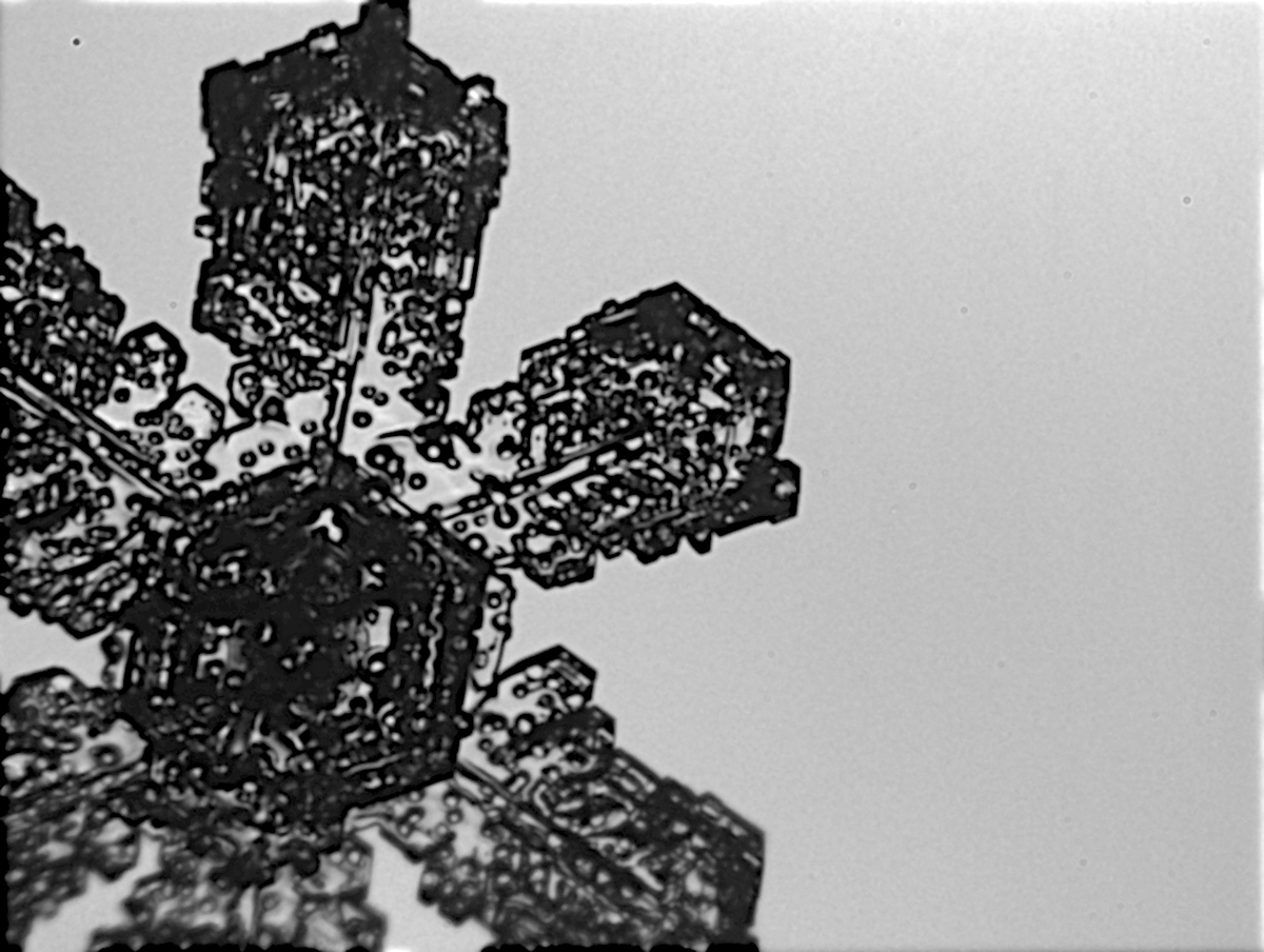 Can ice crystals suffer from chickenpox? 🐔⠝
These sectored plates have gathered light riming, which changes both their appearance and radiative properties.
Ice crystals from #IMPACTS2023 RF05.
#RealIceCrystals