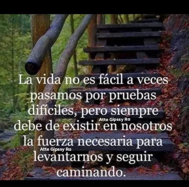 VidaEquilibrad4's tweet photo. https://t.co/fCpzN1Hgjb