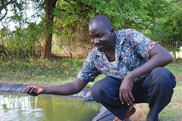 mongabay's tweet photo. In Kenya, small-scale onshore aquaculture combined with sustainable agroecology practices is boosting food security &amp; incomes for smallholder farmers. Though the farms are small, a large amount of protein can be raised in fish ponds filled with rainwater.

https://t.co/TEssGNAwGA https://t.co/c1La2WPMoQ