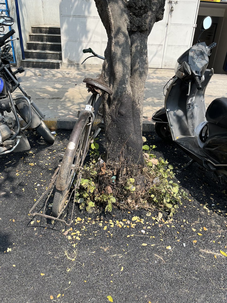 MohanDasari_'s tweet image. ಸಿವಿ ರಾಮನ್ ನಗರ ಕ್ಷೇತ್ರದ ಬಿಜೆಪಿ ಶಾಸಕ ಎಸ್ ರಘುರವರಿಗೆ ಜೀವವಿರುವ ಮರಗಳಿಗೂ ಮತ್ತು ಜೀವವಿರುವ ಮನುಷ್ಯರಿಗೂ ಜಾಸ್ತಿ ವ್ಯತ್ಯಾಸ ಕಾಣುವುದಿಲ್ಲ. ಇದು ಅವರ ಅಭಿವೃಧ್ದಿ ಮಂತ್ರ.  #CVRamanNagaraForChange #MohanDasari