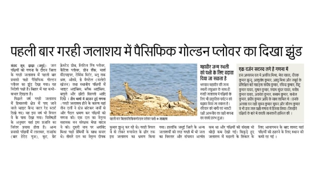 BirdsNagi's tweet image. दिनांक 03-06 फरवरी 2023 तक #जमुई में आयोजित एशियाई जल पक्षी गणना #AWC2023 की प्रकाशित कुछ प्रमुख सुर्खियां। 
@DEFCCOfficial @BSPCBOfficial @WetlandsInt @birdcountindia @BirdLife_News @vgds_dolphin @bhimbandh @sudhakarifs  @ifs_bharat @Team_eBird