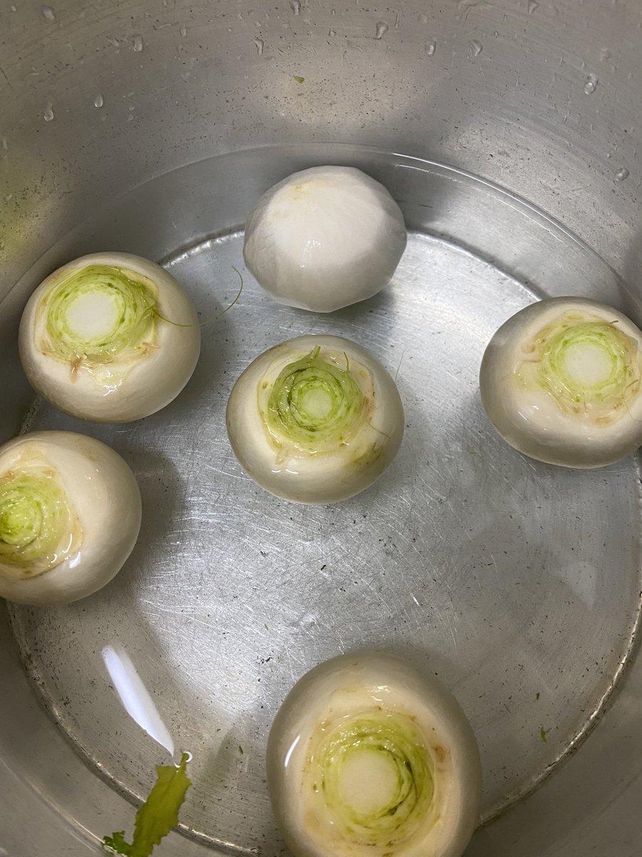 あら？もうこんな時間に🥹
カブ漬けよっと😀
皆様、ご機嫌いかが？