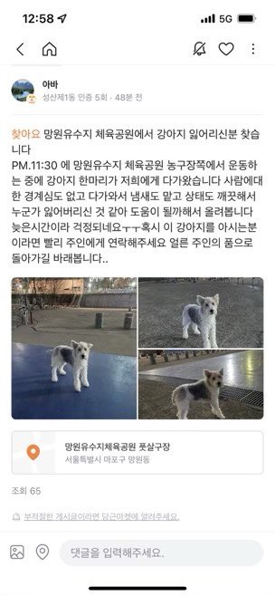 control_rod's tweet photo. 오늘 아침 지인에게 연락이 왔습니다. 늦은 시간 퇴근 하려고 공동주택 현관문으로 들어오는데 집주인이 개가 으르렁거리고 있어서 경찰에 신고했대요. 경찰도 다산콜센터에 전화하면 구청 동물보호과에서 ���려갈거라고 했는데 보호소로 바로 갈까봐 지인이 집으로 데리고 왔대요 https://t.co/MQSB9pJOqb