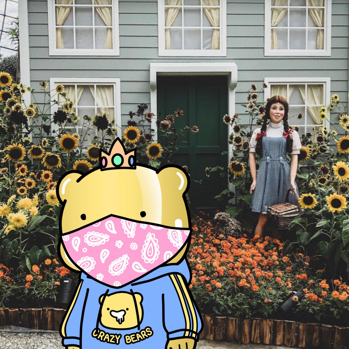 bigmonkeynads's tweet photo. Bears said hello to Dorothy some time ago when in Italy! @CrazyBearsNFT #CrazyBearsNFT #BearsIRL https://t.co/OFzTM2enH2