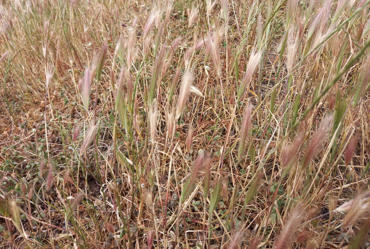 Catherine tweet media