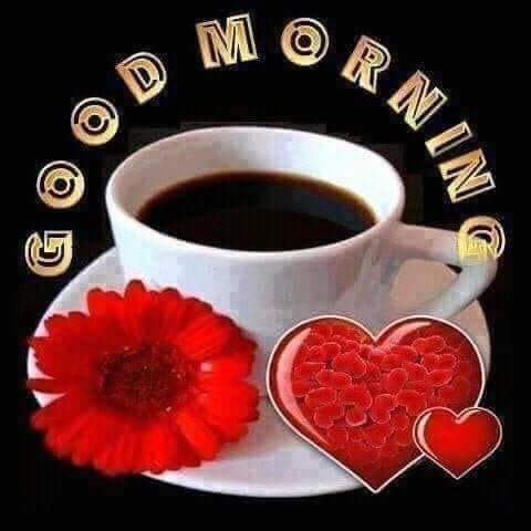 صباح الخير