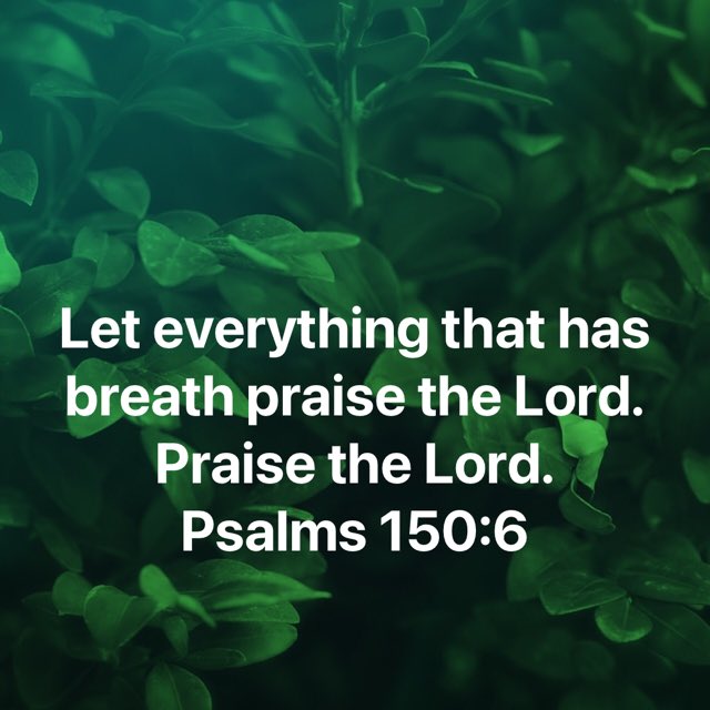 Madoh2010's tweet photo. Thank You So Much Our LORD JESUS CHRIST for the gift of life. Amen 🙏🏾 
Praise The LORD! https://t.co/bHXhSA9g5g https://t.co/7QycQIsSCK