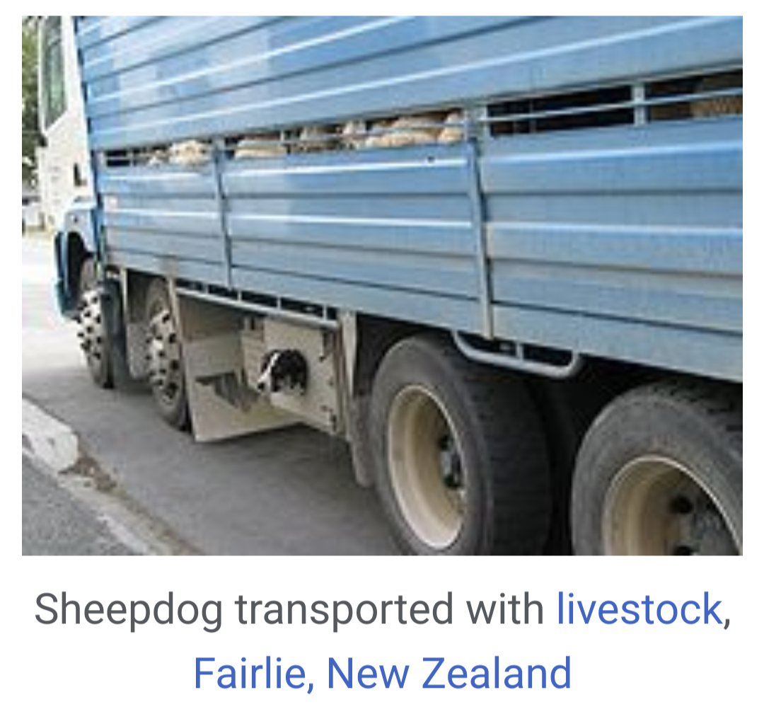 Nick Stoler tweet media