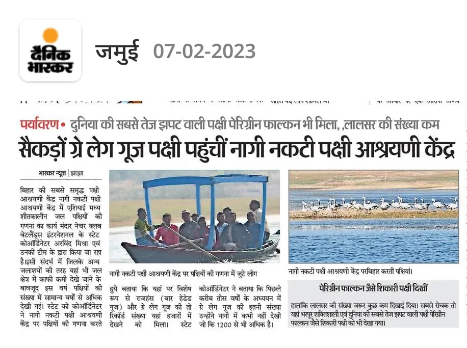 BirdsNagi's tweet image. #AWC2023 #Jamui