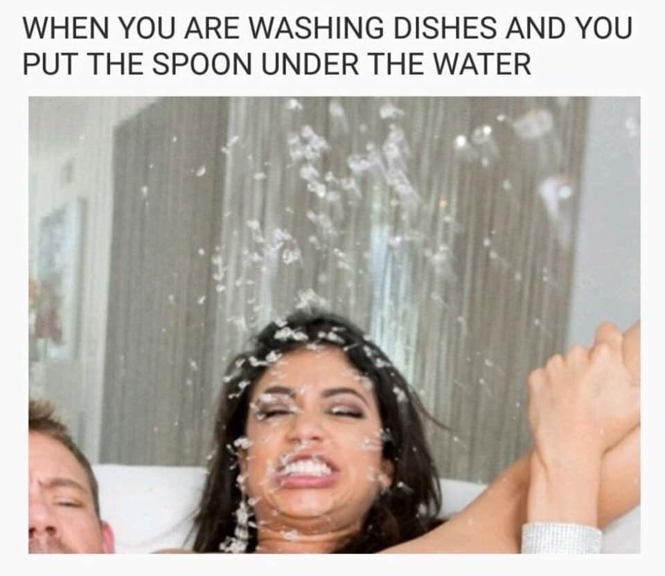 𐌌𐌄𐌌𐌄 𐌕𐌄𐌌𐌐𐌋𐌄 tweet media