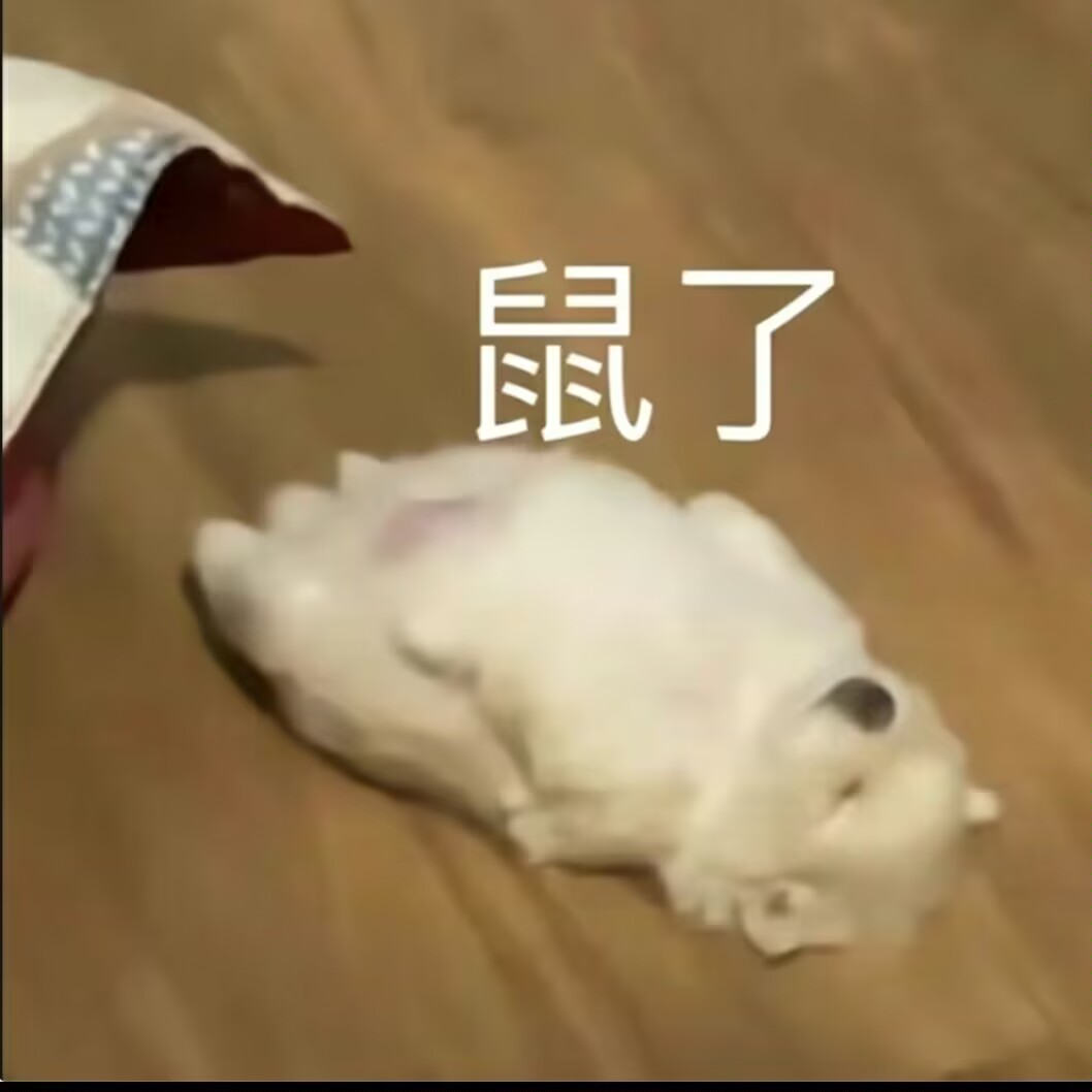 qy0592's tweet photo. 解释一下，我的营业只是单纯的发一发色图，不是有的人想的那个营业啊喂！！！！ https://t.co/B8abL7dCmv
