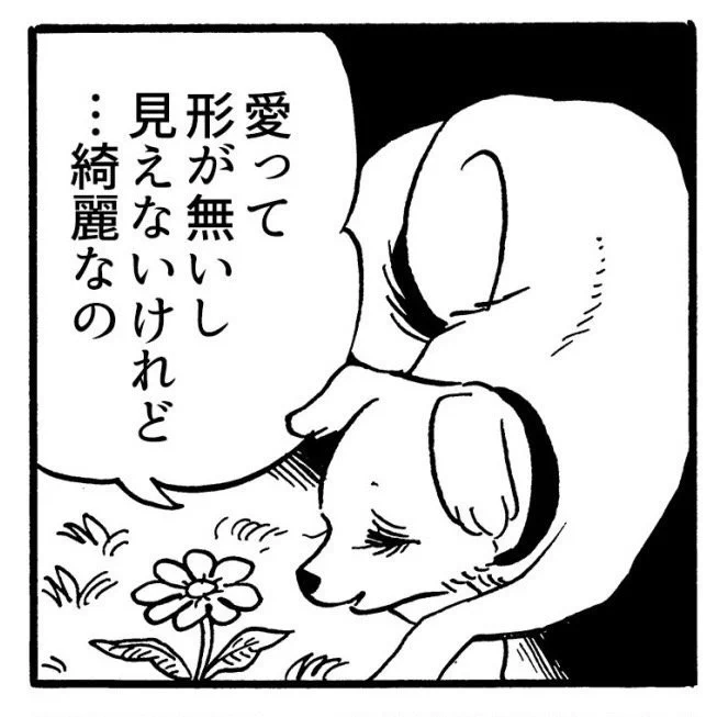 綺麗 