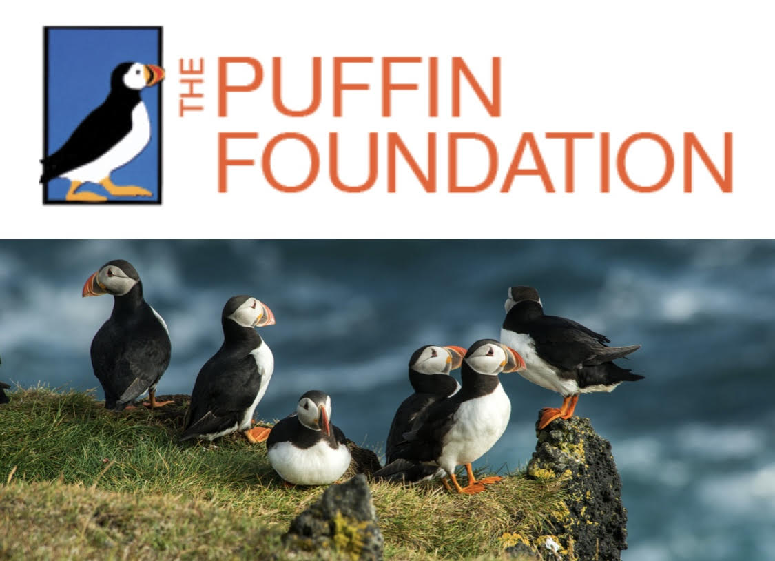 FosterCareFilm's tweet photo. Great news. Weโve received support from the Puffin Foundation! Funding will be used towards editing our short film compilation, โAbsence / Presence,โ which will have its broadcast premiere this Fall. #fostercarefilm #fostercarestories https://t.co/RXdUThyhJp
