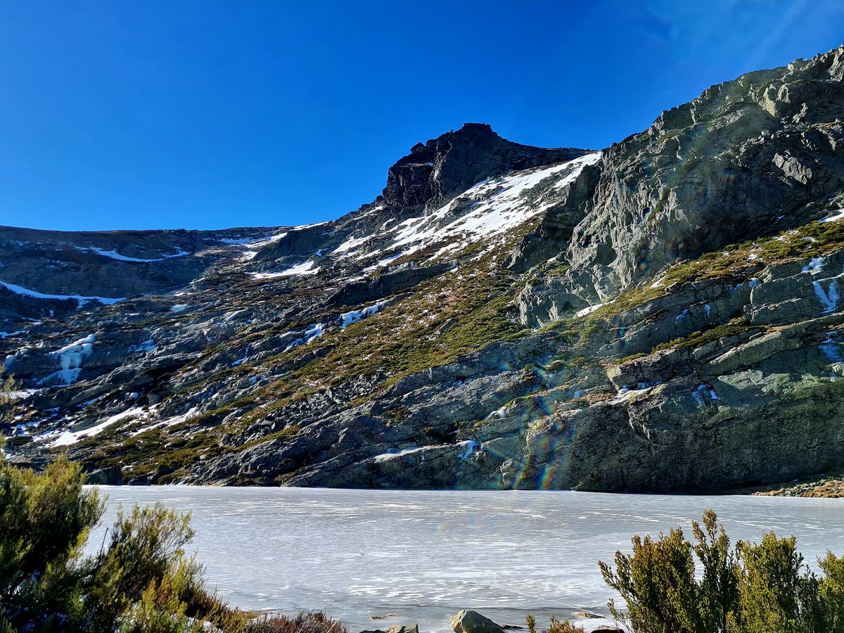 J. SANTIAGO🦁 tweet media