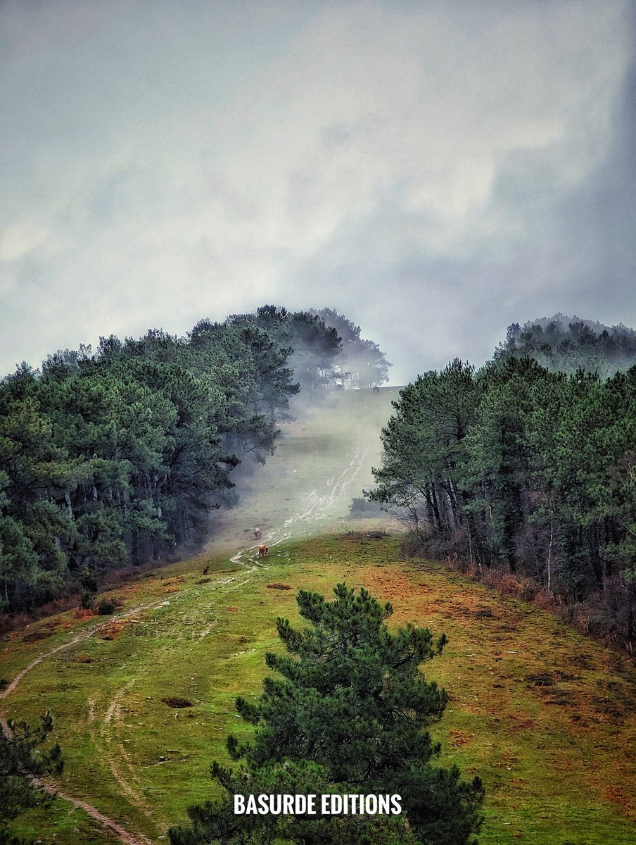BasurdeEditions's tweet photo. Quierete 🥰 y que nada ni nadie te haga dudar de lo mucho que vales 💪💪
----
#basurde #BeAdventurer
----
#total_euskadi #euskogram #euskadi #naturelover #trailrun #ultratrail #ultrarunning #running #run #runners https://t.co/XKv2UZqMkz