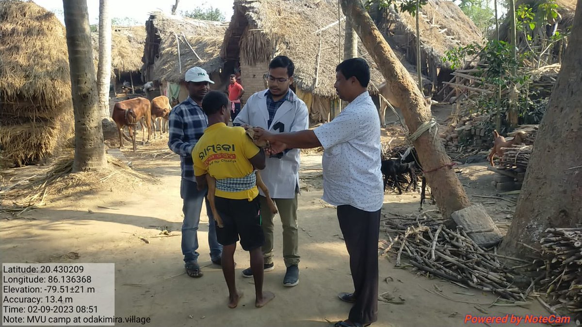 VDsalipur's tweet photo. MVU activities of Salepur block at Purunahat GP #farddept #CMO_Odisha #secychief #rajaswain https://t.co/hqLJE2ebjG