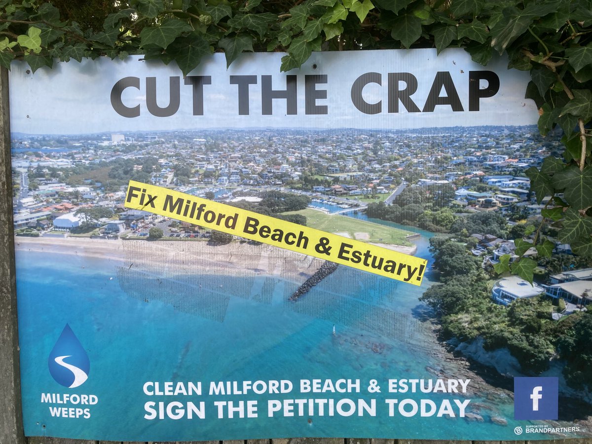 MrHilariouskiwi's tweet image. Wondering how the North Shore agitators are placed with #3waters status now? State of Tory confusion 😀