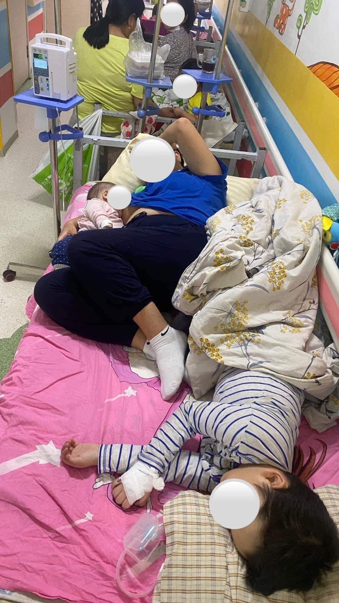 Үхрэнд ээмэг зүүж өгөхийн оронд хүүхдийн эмнэлэг барьж болохгүй юу?

Үр хүүхдээ үхэр малнаас дорд үзмээргүй бна аа.