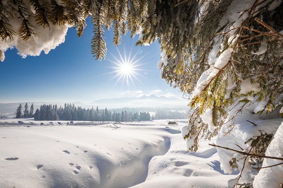 GORSKI_SWIAT's tweet photo. 🏔️WITAM - PIĘKNEGO DNIA!!! 09.02 - czwartek...
#TARY #PortalTatrzański #PortalGorski
Fotografia Paweł Uchorczak https://t.co/bFMYRfRhwC