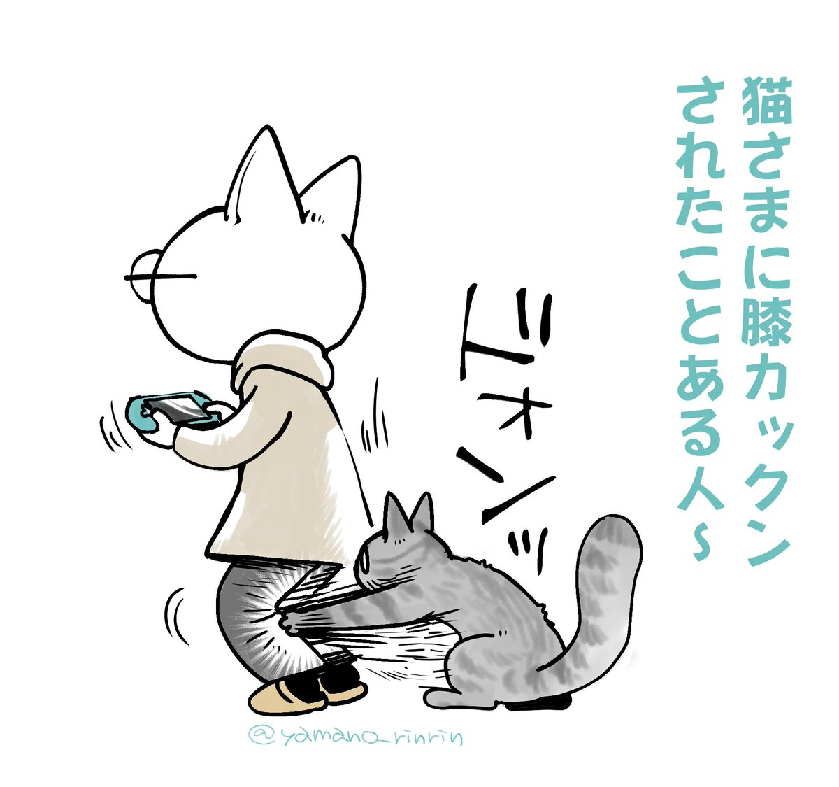 #今日の山野絵
猫さまに膝カックンされたことある人～～～ 