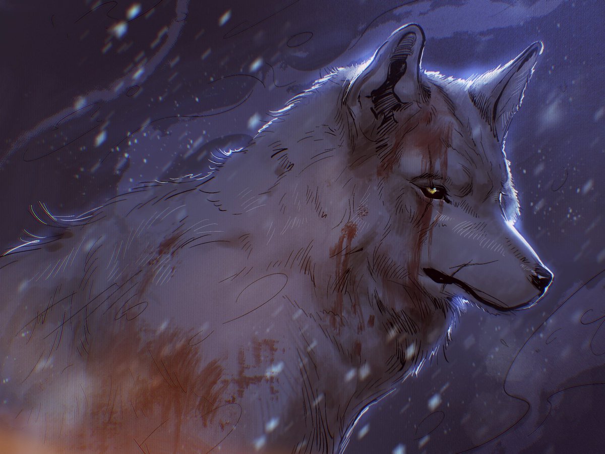 Yo__yo______'s tweet image. Random doodle of a wolf
#wolf
