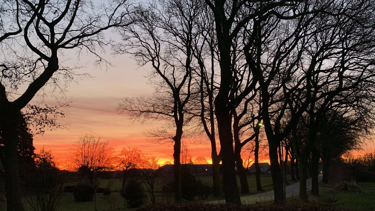 Frank Schröer tweet media