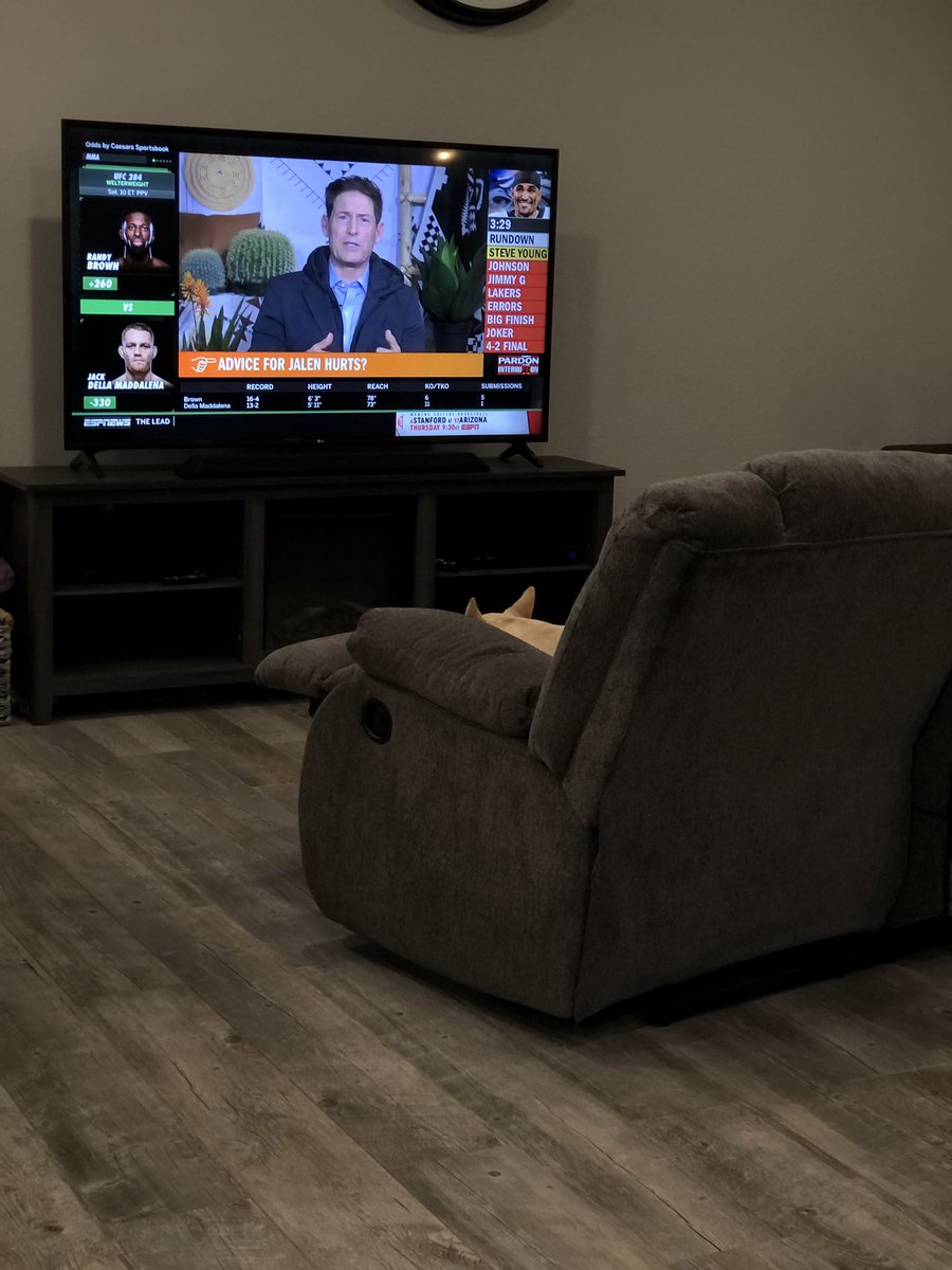 DashingDogsBtq's tweet photo. Watching ESPN tonight and caught our boy, Steve, watching his namesake @SteveYoungQB https://t.co/y6yR9pwqkh