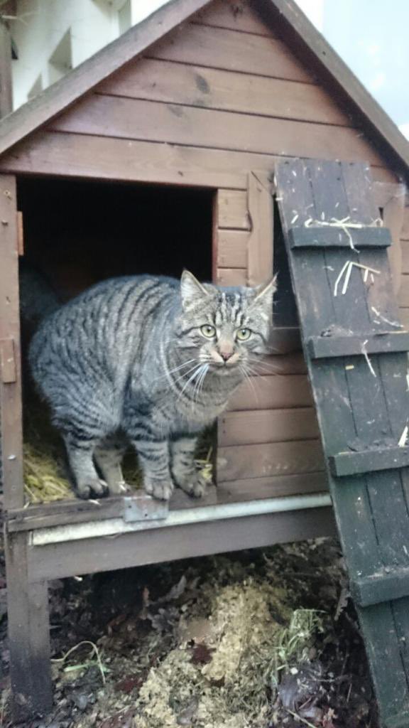 sabine kößling tweet media