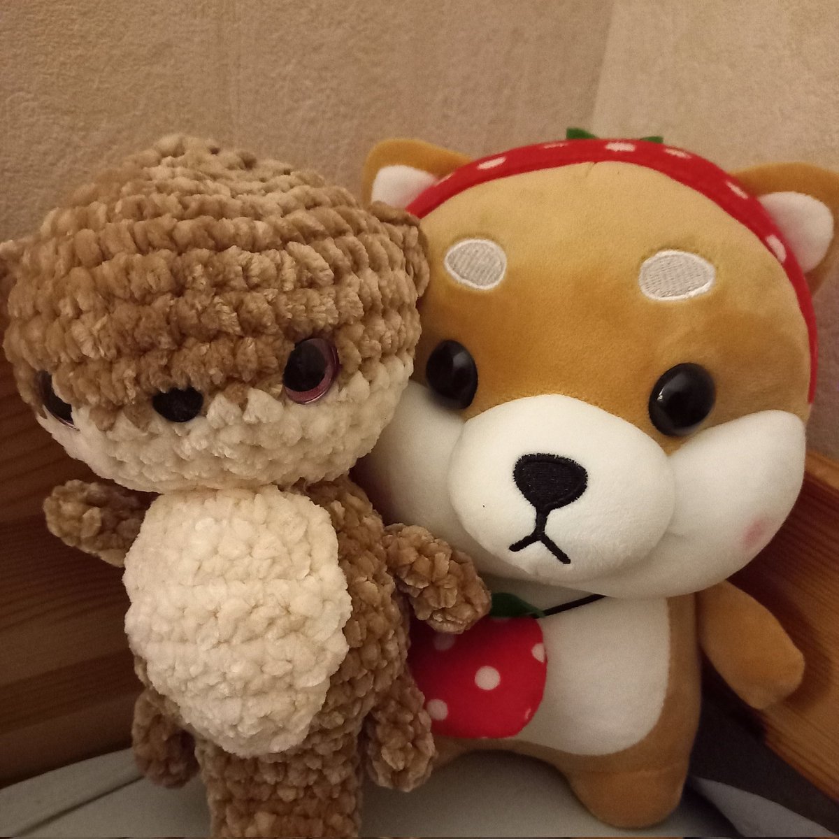 E_relia's tweet photo. #NouvellePhotoDeProfil
Il faut que je trouve un nom à ces 2 cuties. Des idées ? https://t.co/jayIDnPCqF