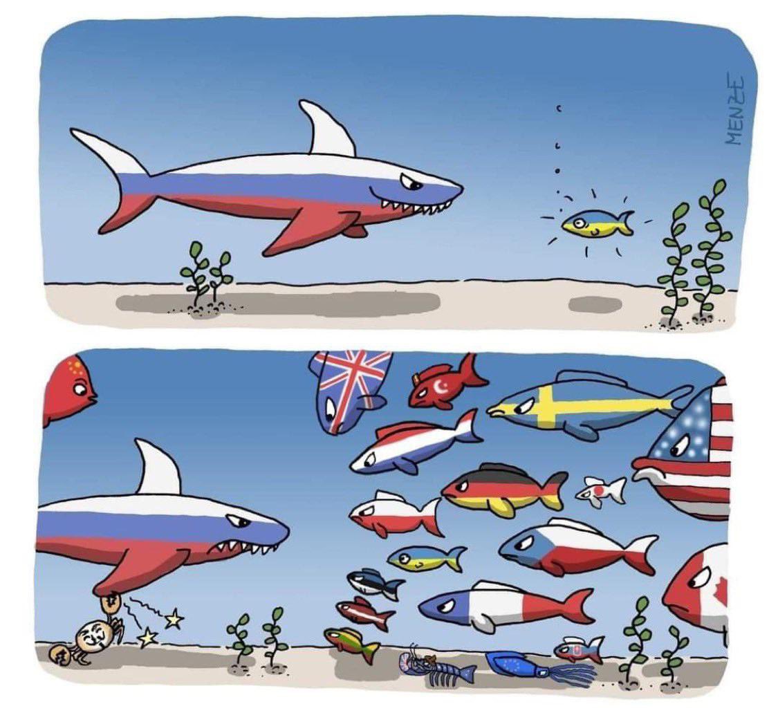 #nietmijnoorlog is de toeter van bijna dezelfde groep twitteraars die #stemzeweg scandeert. 
Het is de bekrompen roep van eigen volk eerst, beste stuurlui staan aan wal en mensen die geen cent extra overhebben voor 't pal stáán voor waarden in westerse democratische rechtsstaten.