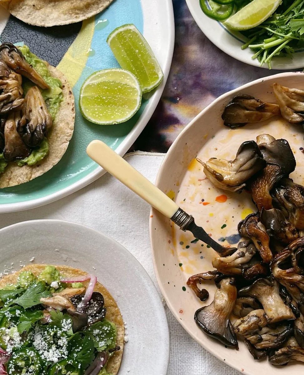 We are Such a Fan of <a href="/smallhold/">Smallhold</a> - for Leading the Way to Building Local High Tech Mushroom Farms Across the Nation. 
📷 #Smallhold

#mushrooms #mushroomfarming #superfood #getlocal #growlocal #eterrakitchen #nyccommercialkitchen #nyckitchen #forchefs #harlemny #eterrakitchen