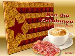 laxarxaxanante1's tweet photo. Bon dia xarxers bon dijous I amunt els anims.. https://t.co/hLiwkxi3pY