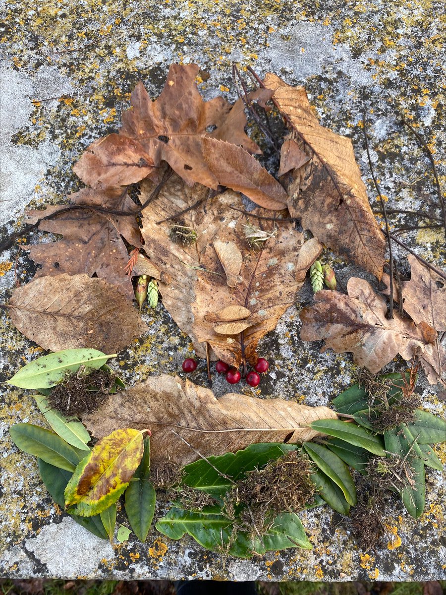 IHS_RS's tweet image. Taskmaster day 3, an amazing self portrait!
@TaskmasterEdu @Place2Be #CMHWTasking #ChildrensMentalHealthWeek @mrdbrowning @IpswichHigh