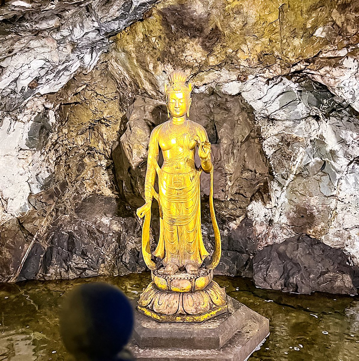 Deidara_Botchi's tweet photo. Hi!
I'm a #DeidaraBotchi .
Brilliant!
#SatsumaKinzanGura
#KushikinoKinzan
#GoldMine
#Kannonsama #GoddessOfMercy #GuanYin
#Ichikikushikino
#Kagoshima
#Japan
#Nuidori
#WoolFelt #NeedleFelting #NeedleFelt
#StuffedAnimal
#StuffedToy
#SoftToy
#PlushToy
#WoolToyTravel
#WoolToy https://t.co/fbGdmx81yK