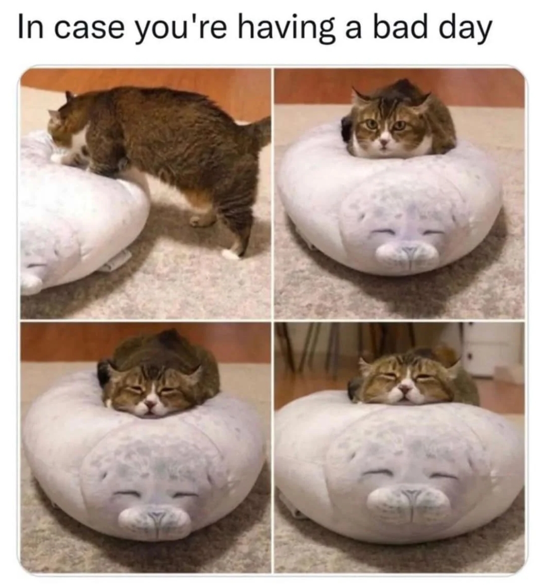 WholesomeMeme tweet picture